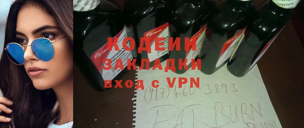 apvp Вяземский