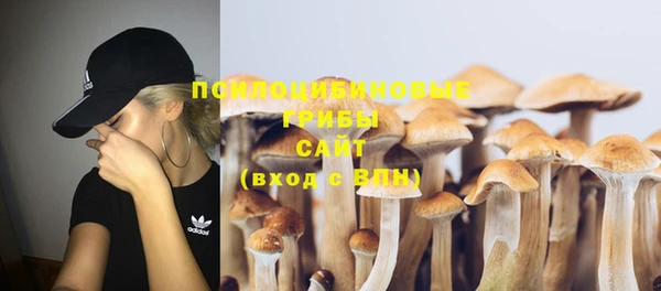 apvp Вяземский