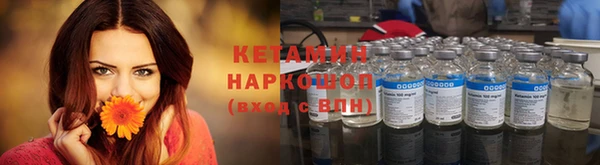 apvp Вяземский