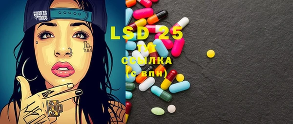 apvp Вяземский