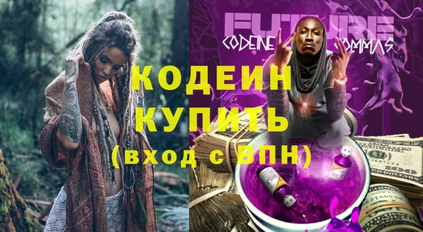 хмурый Струнино